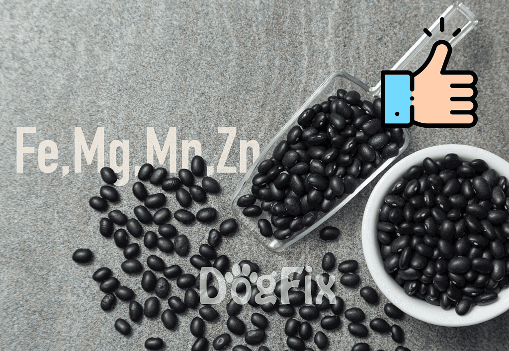 Healthy black beans for dog nutrition, high in protein and fiber. Perfect for nutritious pet meals.