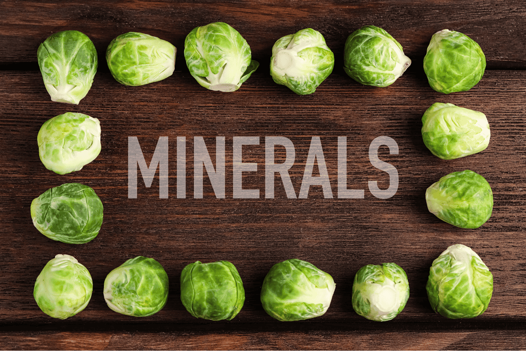 Fresh Brussels sprouts highlighting mineral content for healthy dog nutrition.