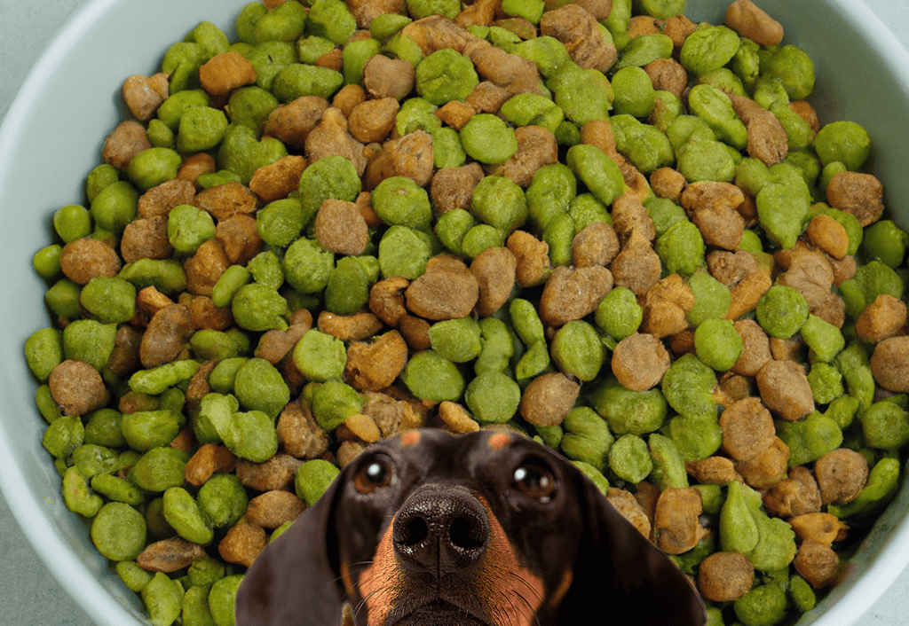 Healthy dog food mix with green peas and meat chunks.