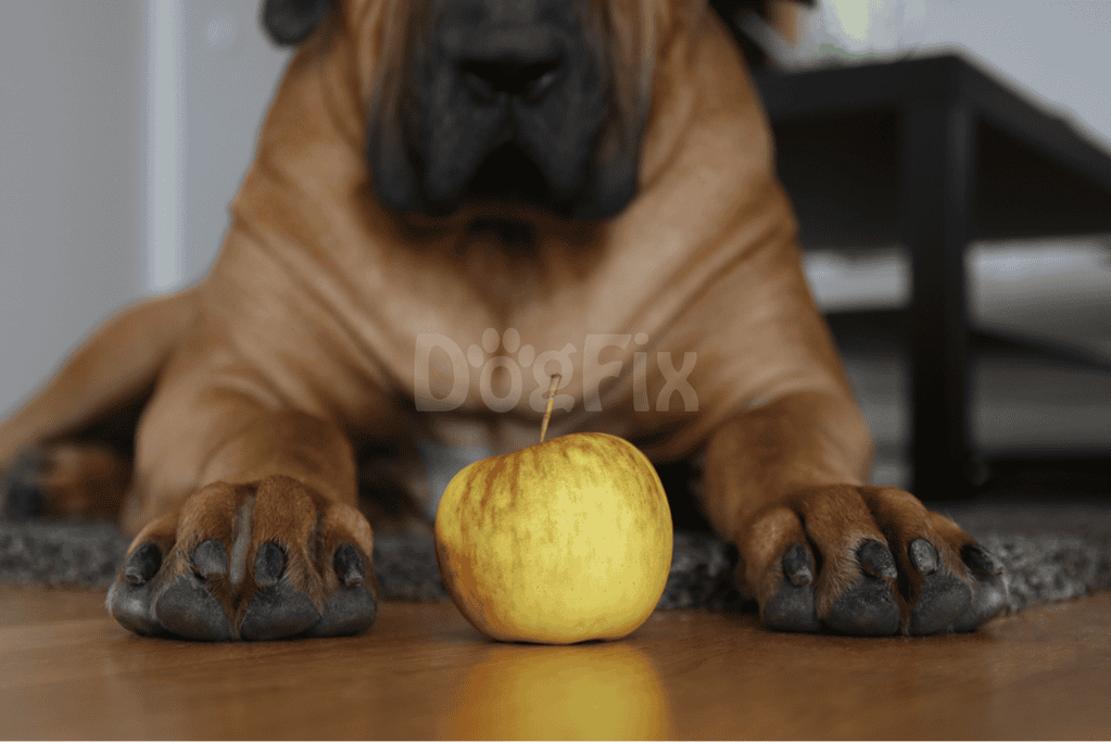 Dog lying on floor with apple, highlighting pet care and nutrition.