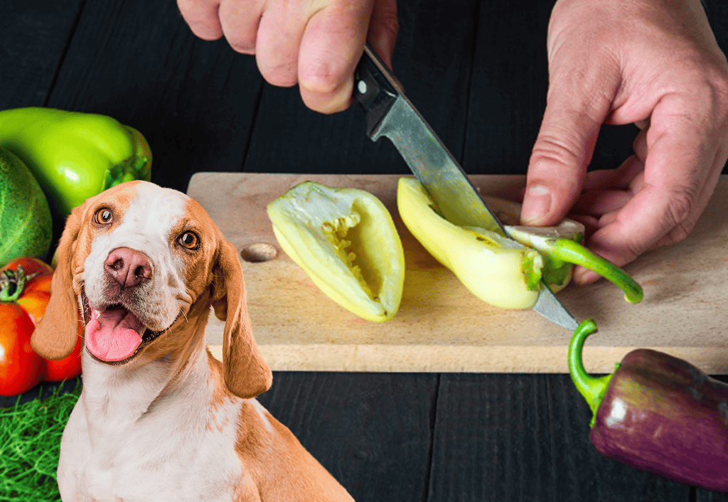 Vibrant fresh vegetables on a cutting board for healthy dog food recipes.