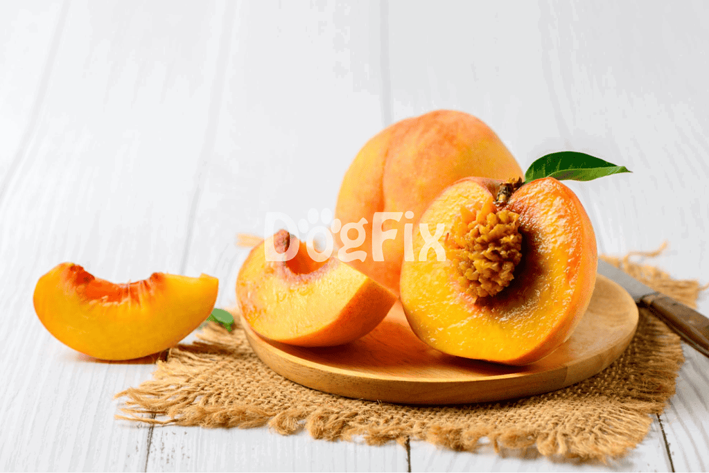 Fresh peaches suitable for dog treats and healthy snacks.