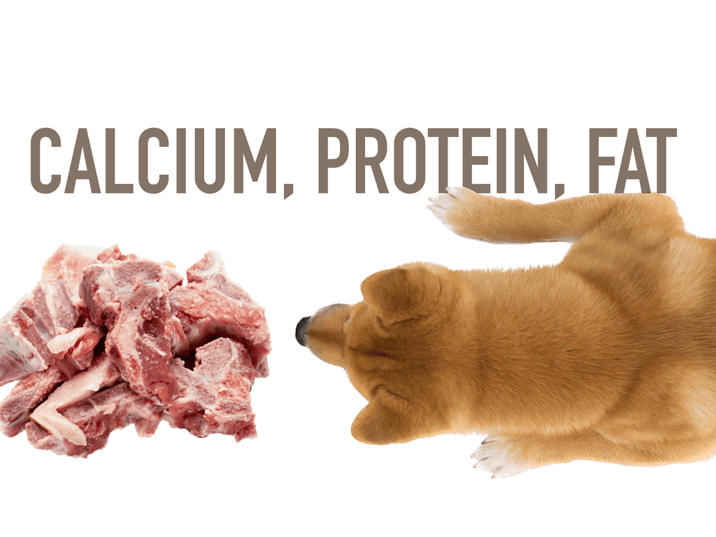 High-quality raw meat for dogs’ calcium, protein, fat, nutritional needs.