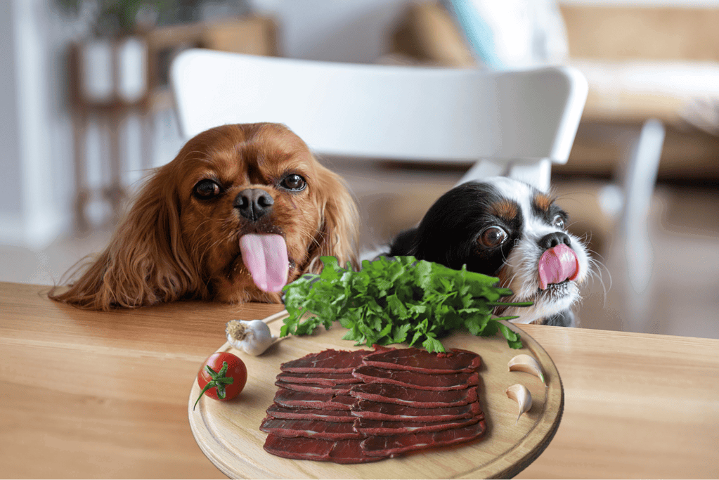 Dog food with fresh meat, leafy greens, garlic, tomato, and garlic on a wooden table.