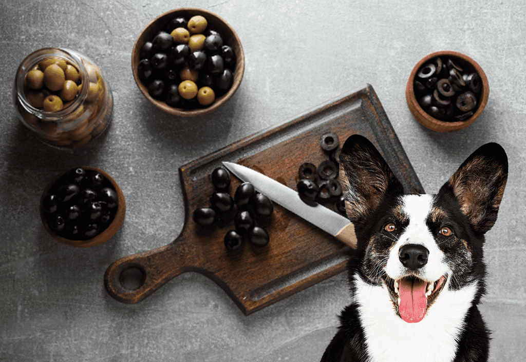 Delicious black and green olives on a wooden cutting board and in small bowls. Perfect for snacking or cooking.