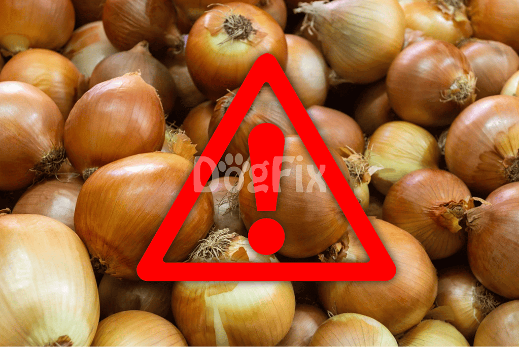 Onions in a pile with warning icon highlighting danger to dogs from toxic food.