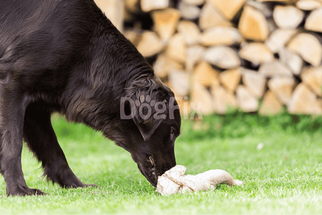 Dog playing with a chew toy on a grassy lawn with a woodpile background.