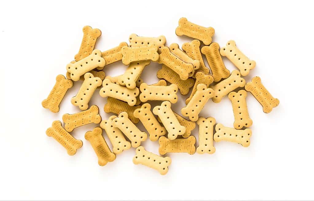 Dog treat bones for healthy dog snacks and training. Perfect for small and large dogs. Safe, delicious, and nutritious.