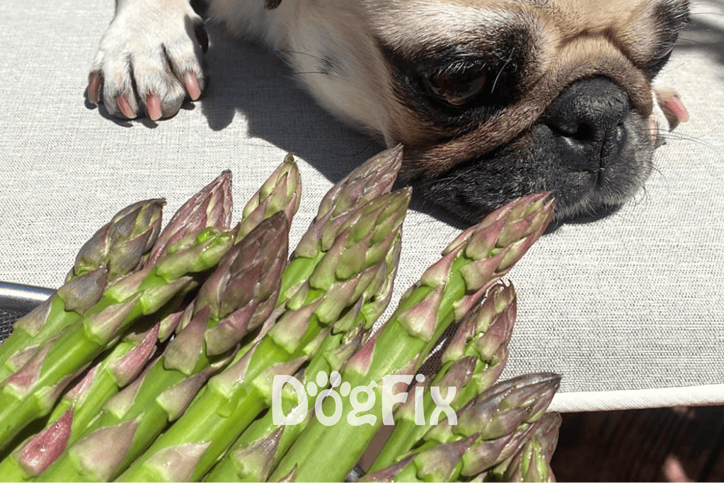 Portions and Frequency