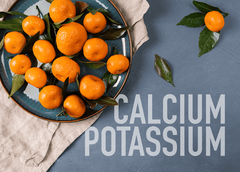 Potassium and Calcium