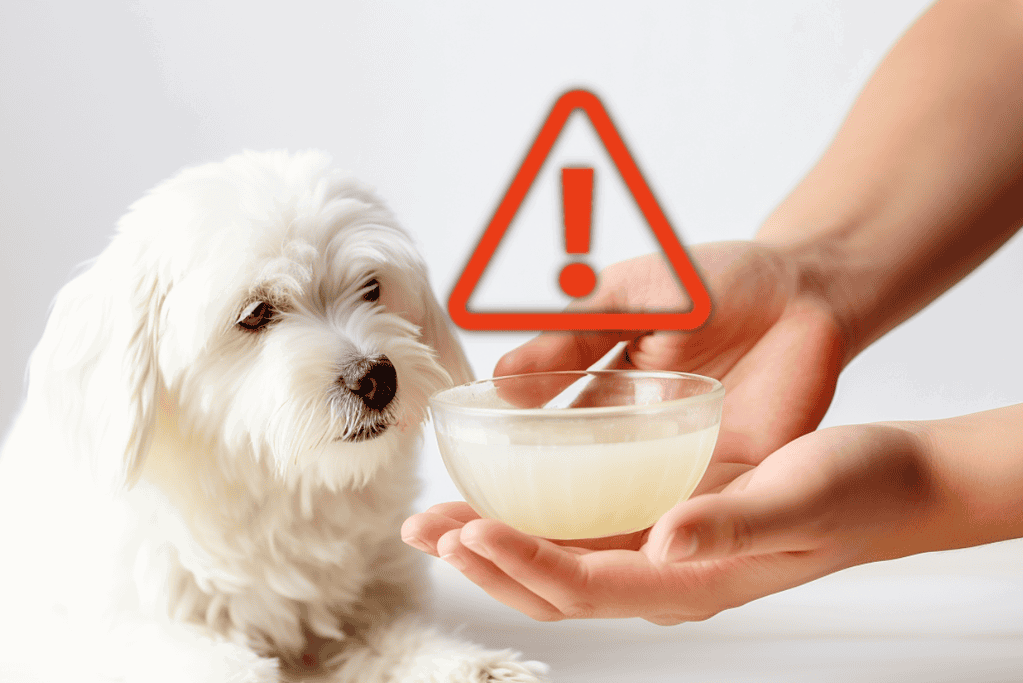 Potential Side Effects of Coconut Oil