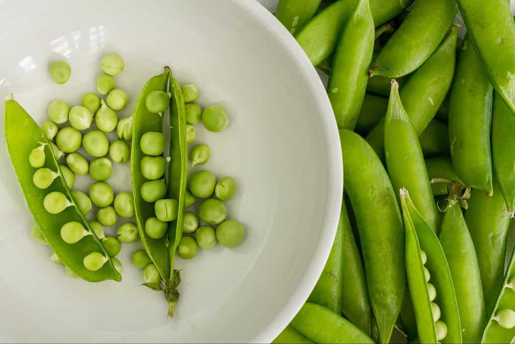 Vibrant green peas in and out of pods, perfect for healthy dog treats or recipes.