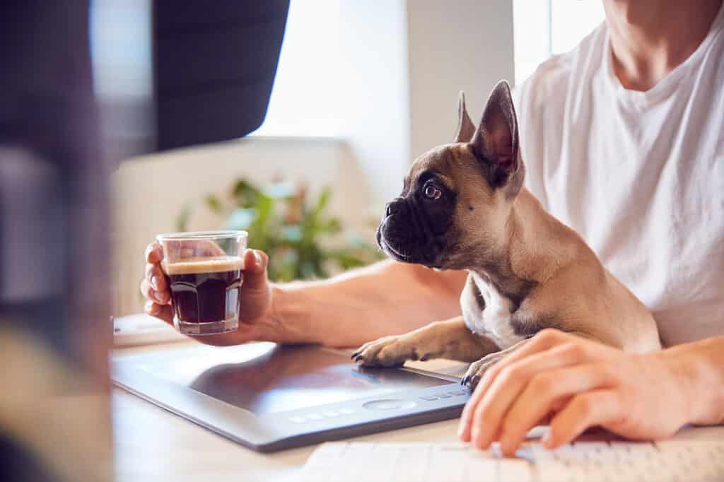 Cute dog with owner using tablet, enjoying coffee at home.