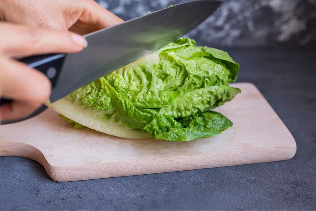 Proper Preparation of Romaine Lettuce for Dogs