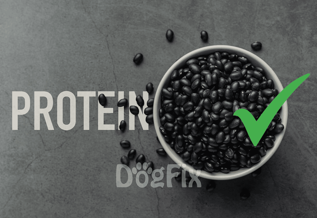 High-protein black beans in bowl for healthy dog nutrition and balanced diet.