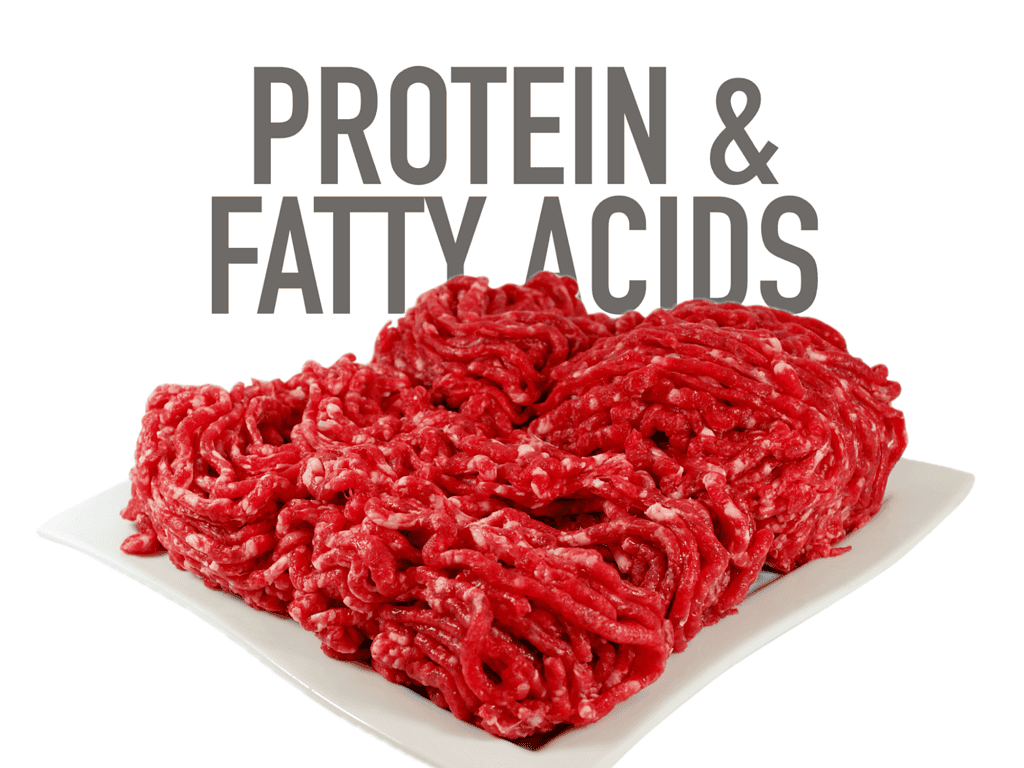 Fresh ground beef on a plate, showcasing healthy proteins and fats for dogs.
