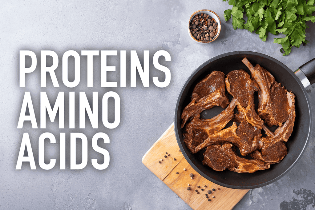 High-quality protein dog bones on skillet, ideal for nutritious dog treats, promotes healthy pet diet.