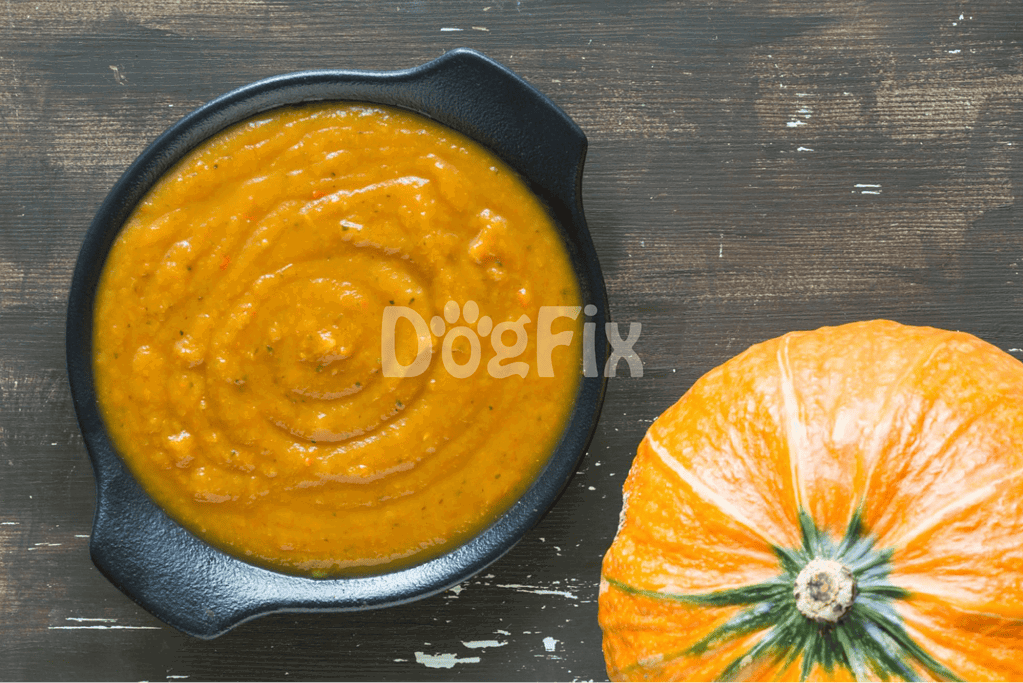 High-quality pumpkin dog treats for health and wellness.
