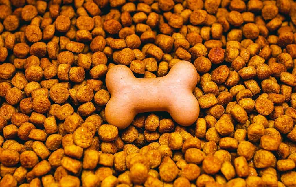 High-quality dog kibble with a bone-shaped treat for nutritious and tasty dog food options.
