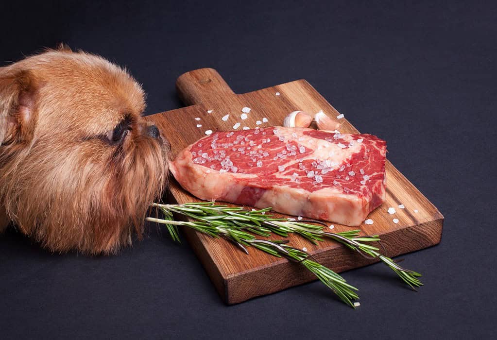 Close-up of a dog sniffing a raw steak with salt and garlic on a wooden cutting board.