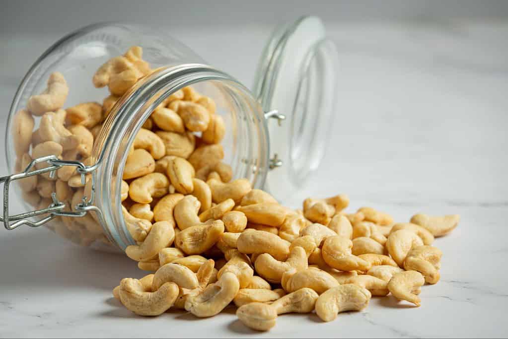Dog-friendly cashew nuts in a glass jar, healthy treat option for dogs.