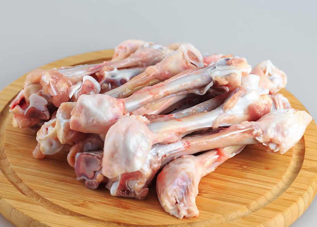Fresh raw dog bones and meat for optimal pet nutrition and health.