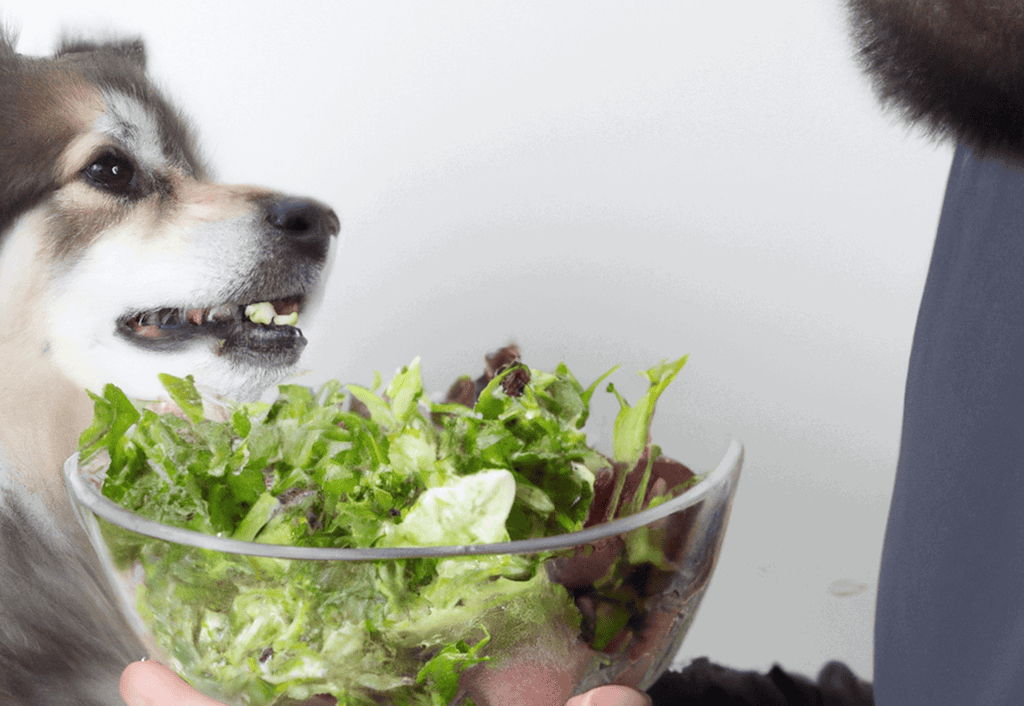 Dog eagerly enjoying a fresh salad with vegetables.