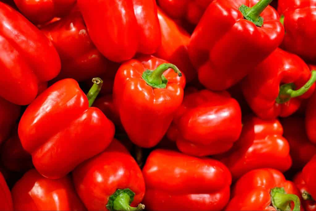 Bright red, fresh bell peppers with green stems, perfect for healthy recipes.