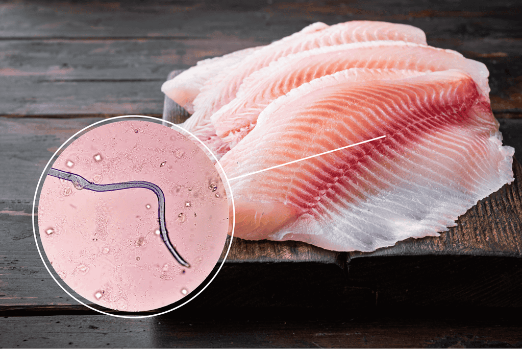 Raw fish fillet on wooden surface with parasite microscopic close-up inset.