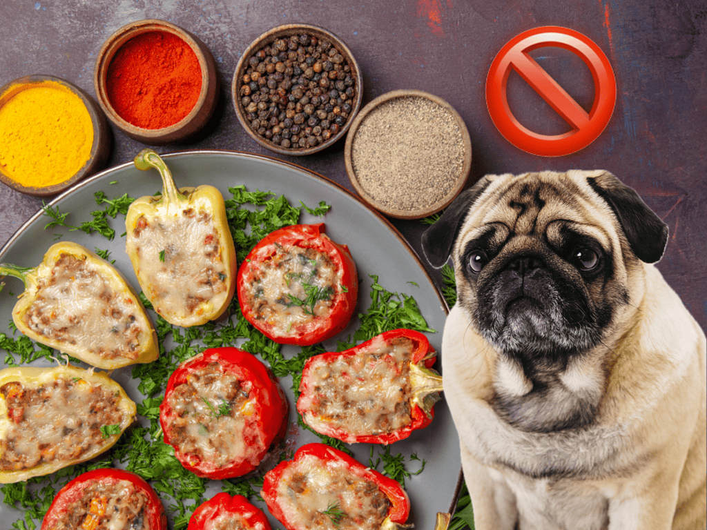 Healthy stuffed peppers with cheese for dogs, high-quality ingredients for canine nutrition.
