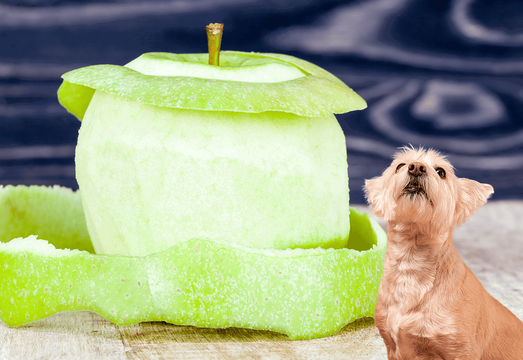 Apple slice cut to resemble a green apple, with a small dog gazing upward placed on a textured surface.