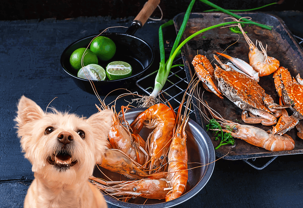 Shrimp and Crab Yay or Nay