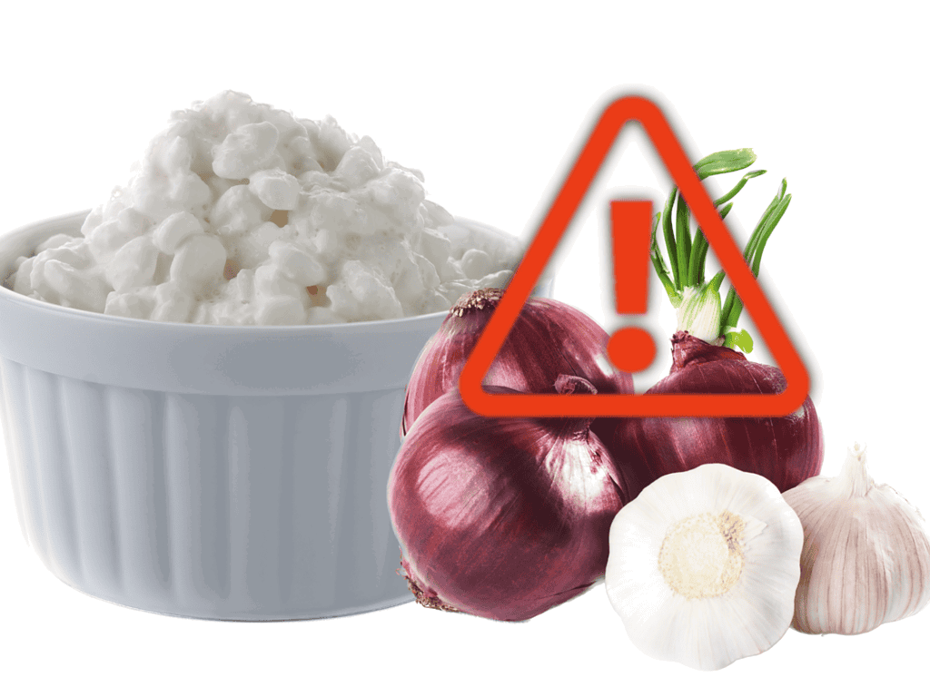 Pet safety alert: onions and garlic are toxic to dogs and should be avoided.