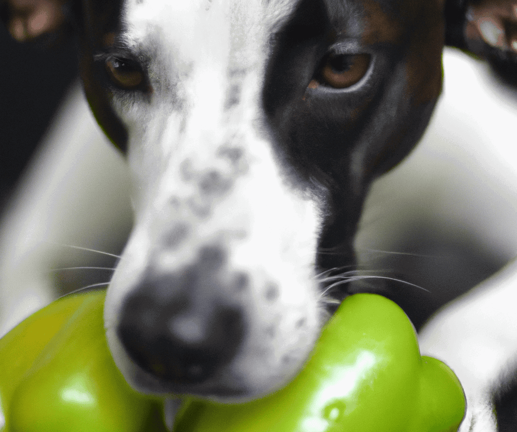 Close-up of a dog with a green bell pepper, emphasizing pet health and nutrition.