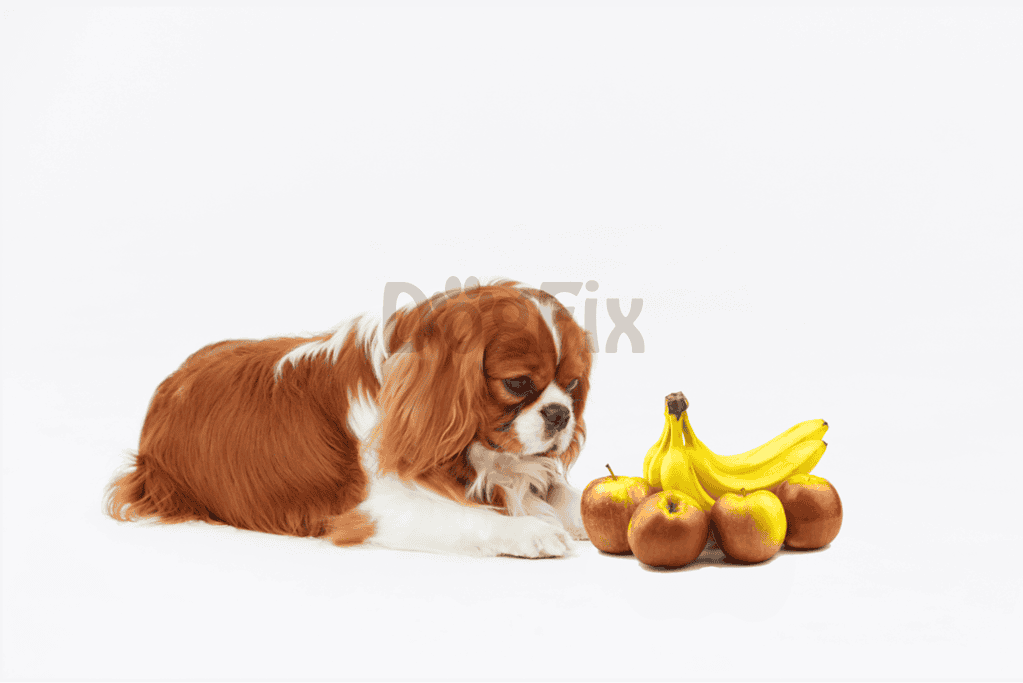 ALT text: Adorable puppy with bananas and apples on a white background.