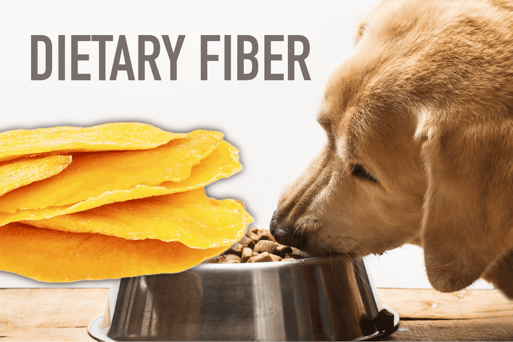 Dog food, healthy dog diet, nutritious dog meals, pet nutrition.