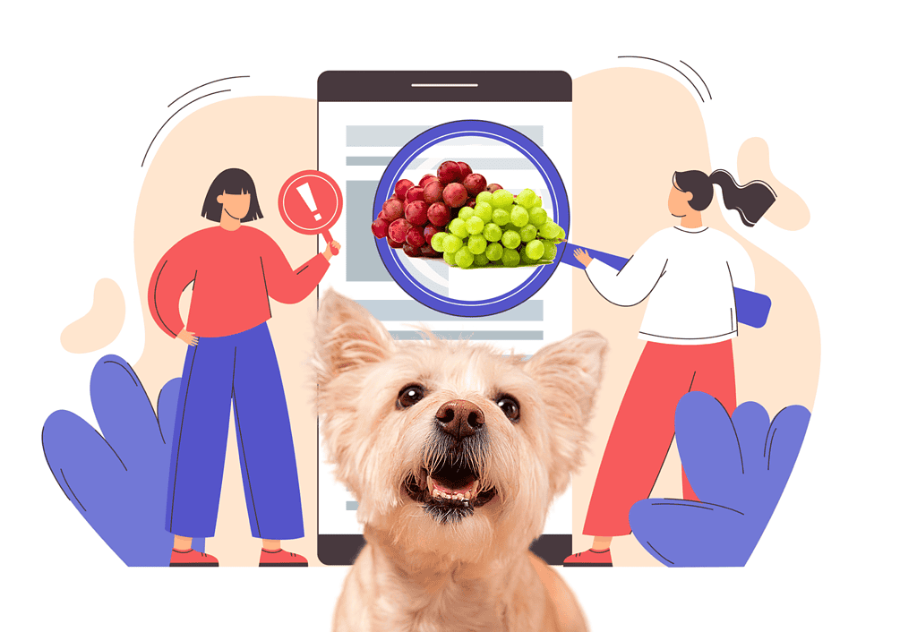 Close-up of a happy dog with digital health warning about grapes and raisins for pets.