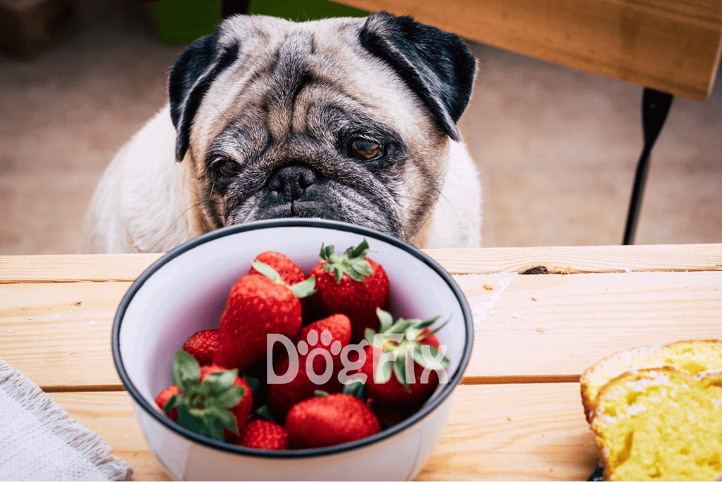 Strawberries Berry Good Treats