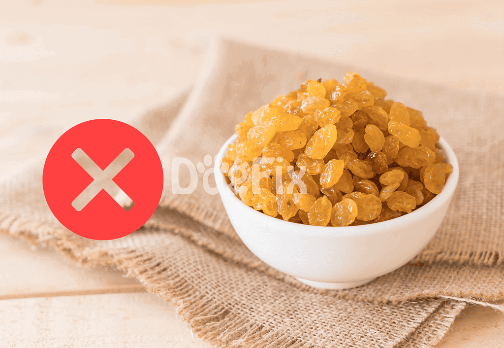 Dog treats without raisins, safe healthy snack options for dogs on Dogfix.com.