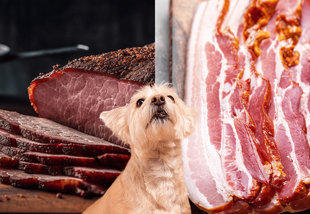 Delicious raw meat and bacon with cute dog focus, ideal for pet treats.