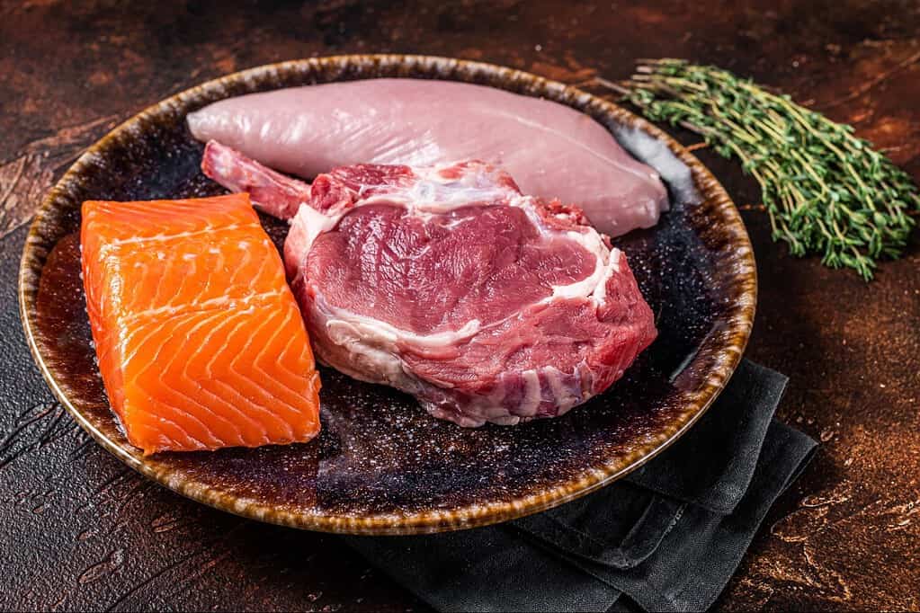 Fresh raw dog food ingredients including salmon, chicken, and beef on a rustic plate.