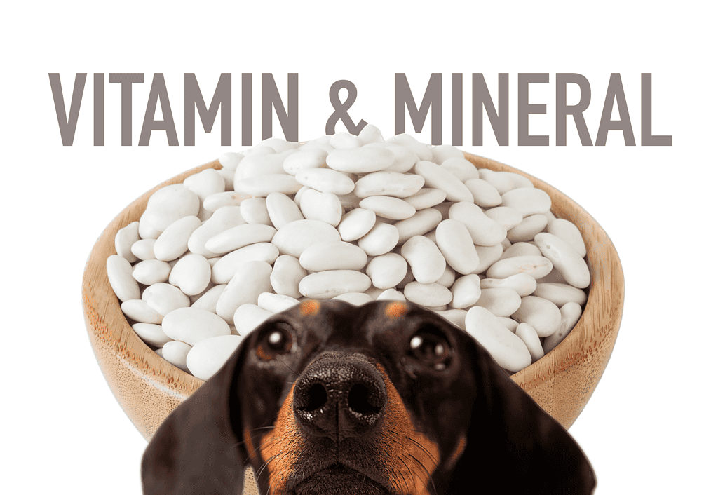 Vitamin And Mineral