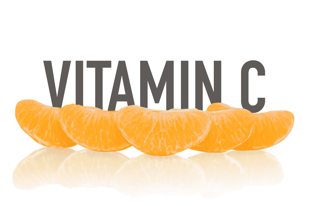 Vibrant orange slices emphasize vitamin C, essential for dogs’ immune health and nutrition.