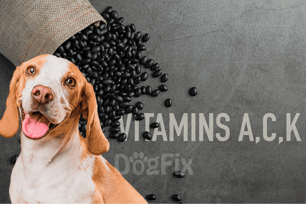 Dog supplements with essential vitamins for health and wellness.