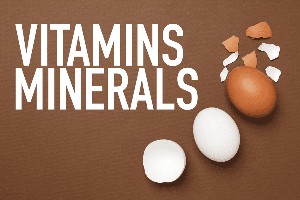 Dog vitamins and minerals guide for pet health and nutrition.