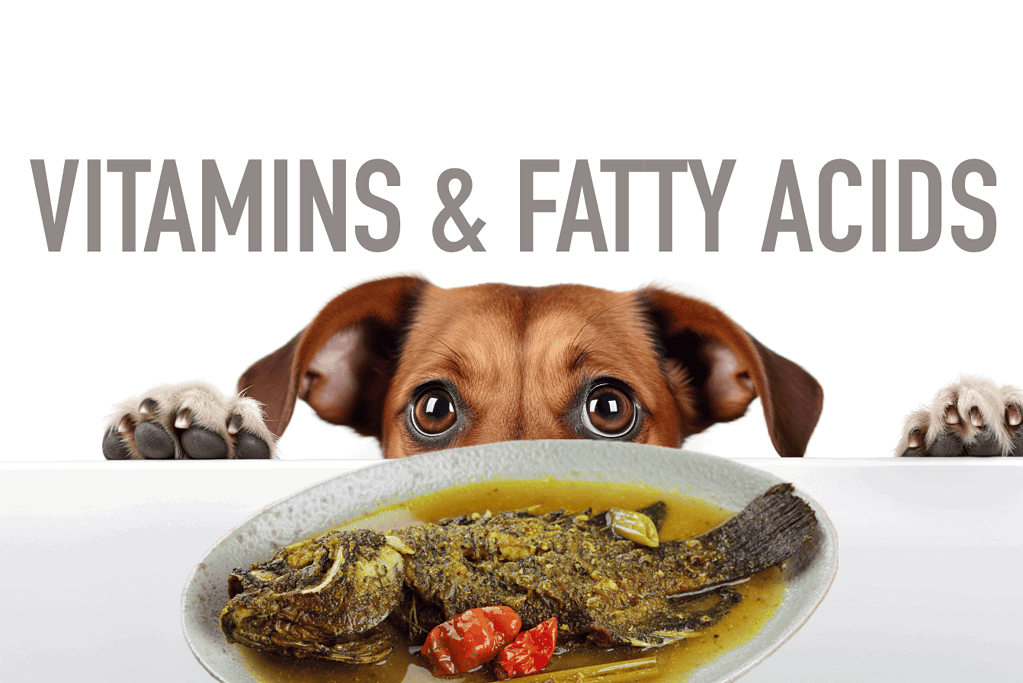 Vitamins and Fatty Acids
