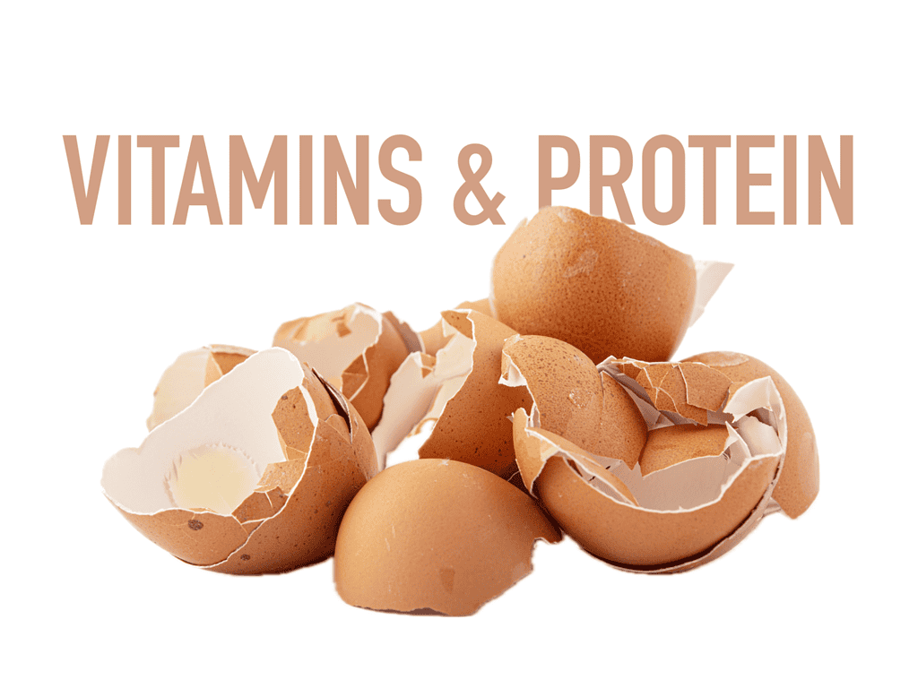 Vitamins and Protein
