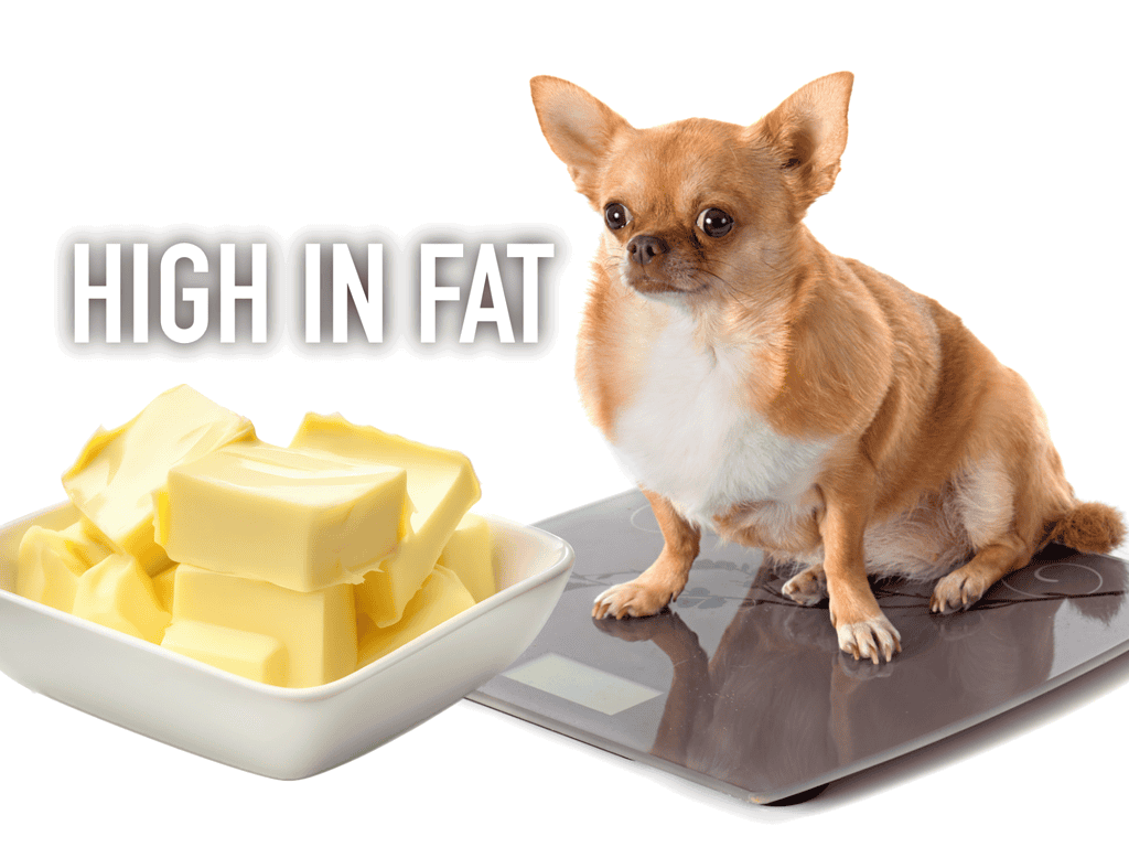 Weight and Obesity Issues