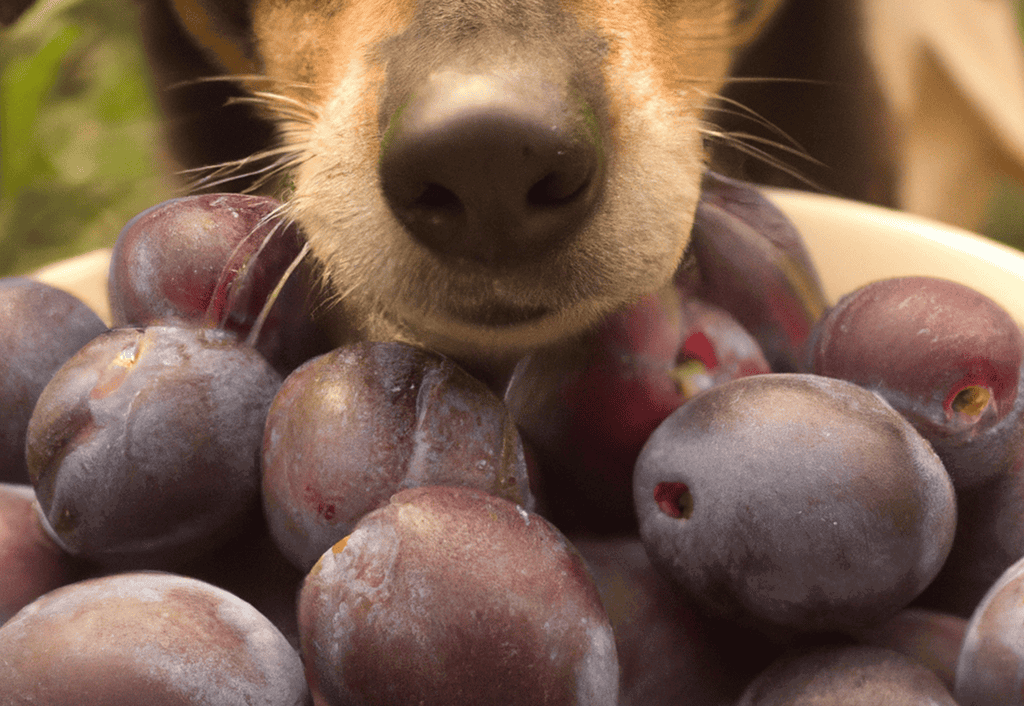 What You Need To Remember