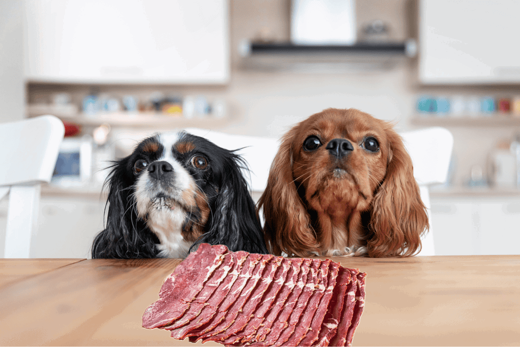 Two adorable dogs with a plate of sliced meat on a kitchen table.